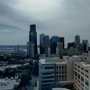 Meet your Posher, Kylie